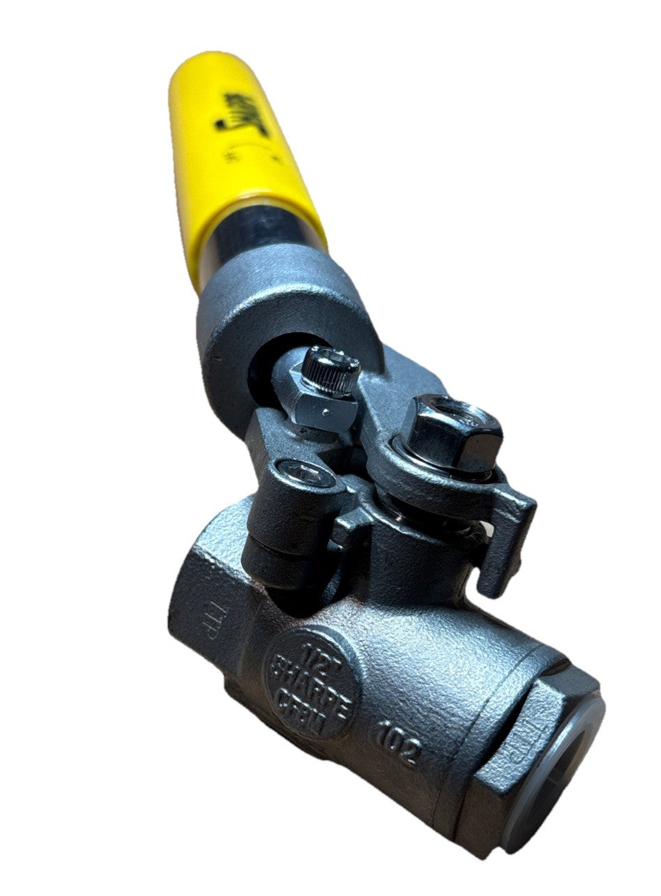 Image #4
